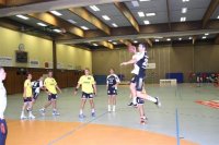 Nikola Karabatic beim Wurf