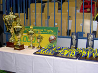 Der THW Kiel holte in Celje den gro�en "Pott"!