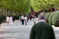 Parkanlage im Zentrum der "k�niglichen Stadt".