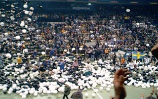 [Bild: Luftballons auf dem Feld]