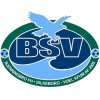 Logo von Gegnerdaten BSV Bjerringbro-Silkeborg (D�nemark)