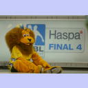 Der Kr�sti-L�we am Boden.