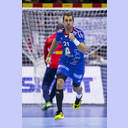 WM 2013: FRA-BRA: Michael Guigou.