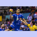 WM 2013: FRA-BRA: Daniel Narcisse.