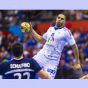 WM 2013: FRA-ARG: Daniel Narcisse.