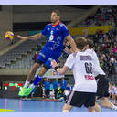 WM 2013: GER-FRA: Daniel Narcisse.