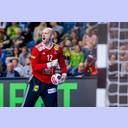 Vincent G&eacute;rard.